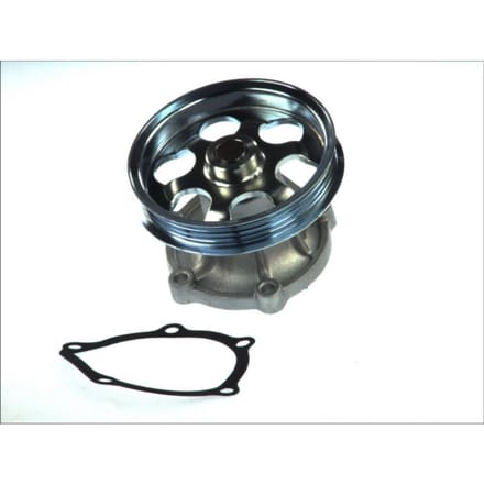 Waterpomp THERMOTEC D12071TT