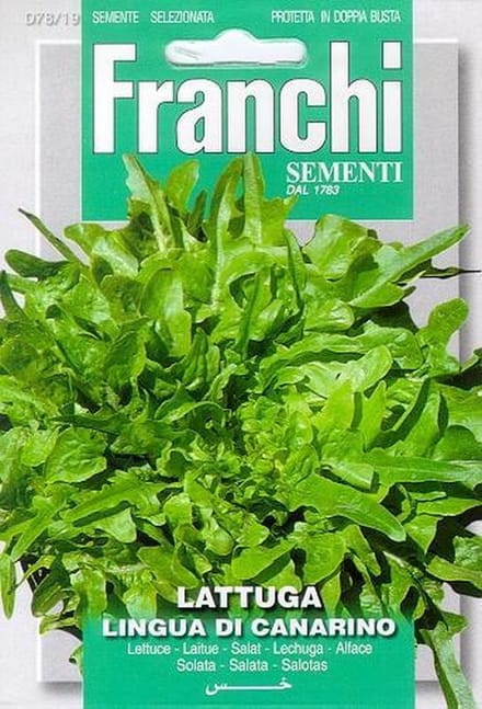 Franchi - Lattuga Lingua Di Canarino - Kropsla Kleinbladig