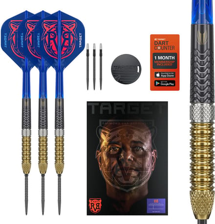 Target Raymond van Barneveld G6 Swiss Point 95% - Dartpijlen
