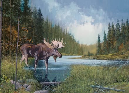 Puzzel van 1000 stukjes - Moose Lake - Inclusief Sample Poster