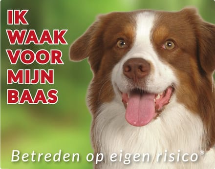 Australian Shepherd Waakbord - Ik waak voor mijn baas