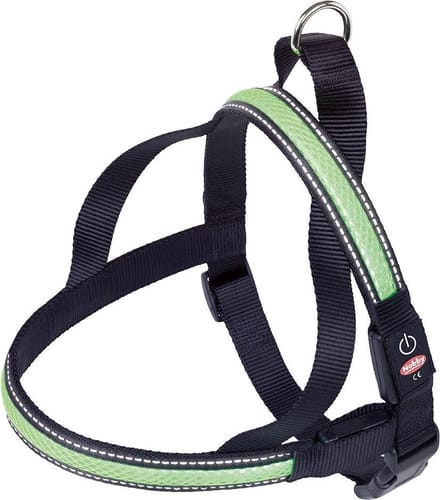 Nobby Norwegian Lichtgevende Hondentuig - Groen - 60-75 cm