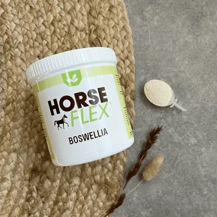 HorseFlex - Boswellia - 250g
