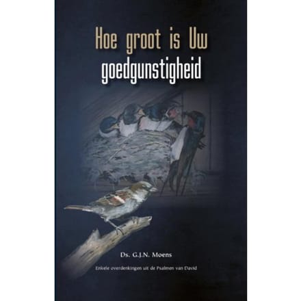 Hoe Groot Is Uw Goedgunstigheid - Themapreken - G.J.N. Moens