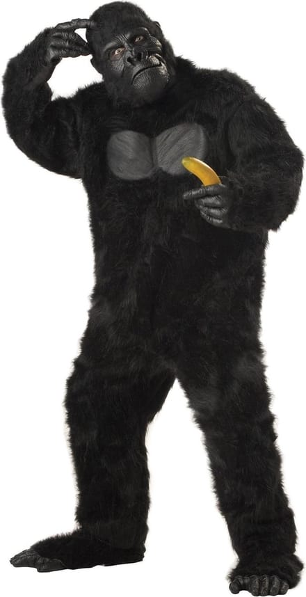 Gorilla