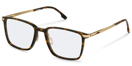 Rodenstock R7162 Havana/gold 57/20/150 MAN Brilmonturen