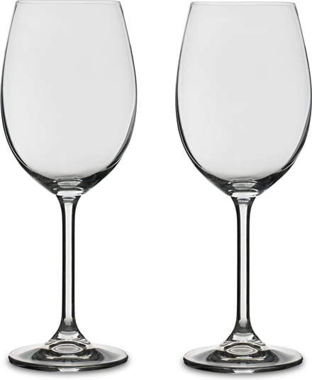 BITZ Witwijnglas 45 cl 2 st.