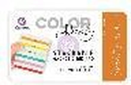 Prima Marketing Color Philosophy Dye Ink Burnt Sienna