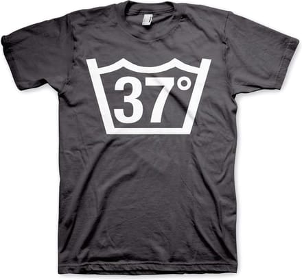 Hybris 37 Celcius Tee T-shirt donkergrijs