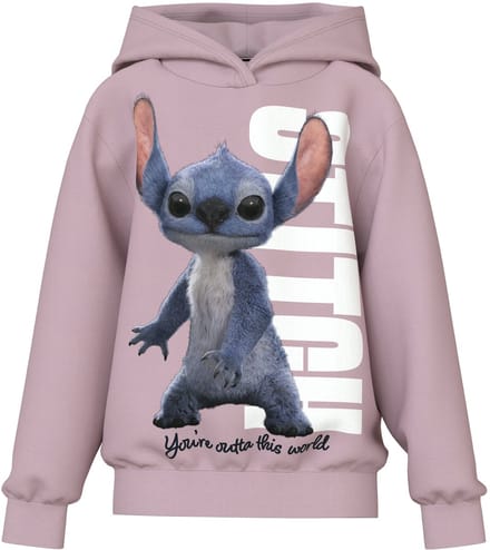 NAME IT - NKFNIBUL STITCH NREG SWEAT BRU LNOOS WDI - Meisjes - Sweaters
