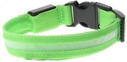 LED honden halsband - Groen L