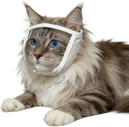 Kattenmuilkorf - Kattenkap - Veilige Verzorging - Transparant Ademend - S-M - Transparant
