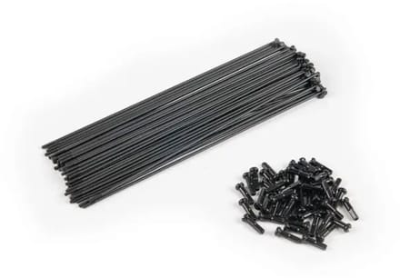 Rayon Eclat PG (x40)