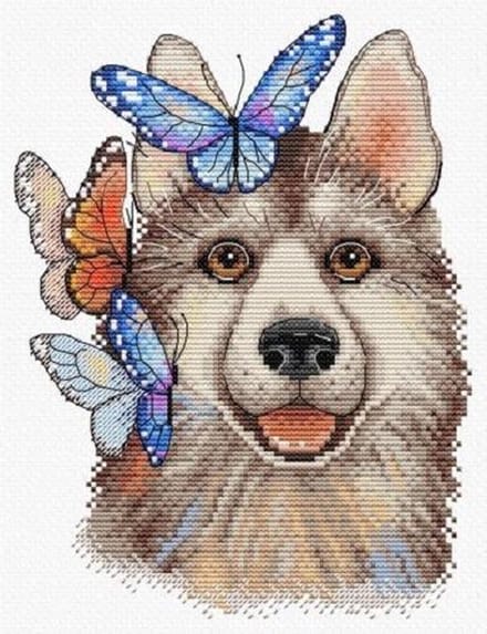 borduurpakket husky met vlinders