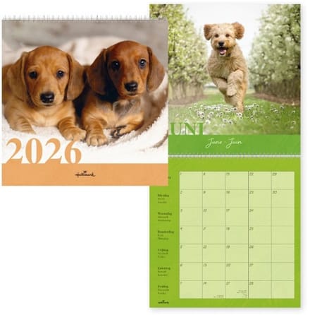Dogs Kalender 2026