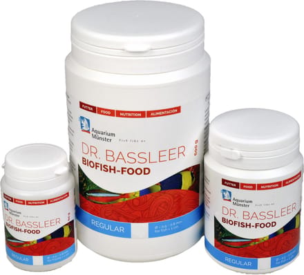 Dr. Bassleer Regular