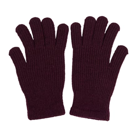Regatta Volwassen unisex Connora-handschoenen (Afb.)