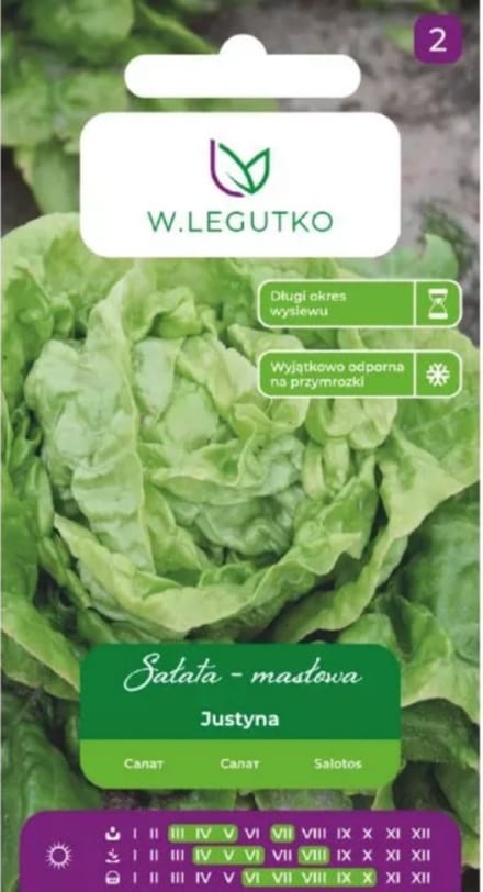 W.Legutko - ijsbergsla – lichtgroen, vroeg rijpend