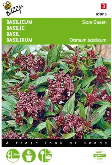 2 stuks - Buzzy - Basilicum Siam Queen