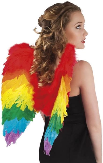 Engelen Vleugels Regenboog 50cm