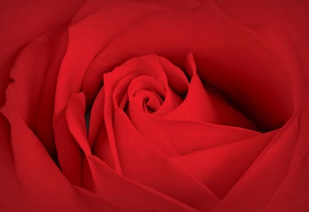 Poster | Rood | 104 x 70,5 cm