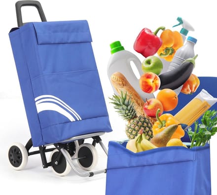 Inklapbare 40 Liter Boodschappentrolley met Wielen - Waterafstotend en Ergonomisch Ontwerp