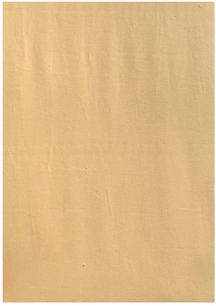 Acanthus Kussenslopen Perkal Katoen - 60x70 cm - 2 Stuks - Geel