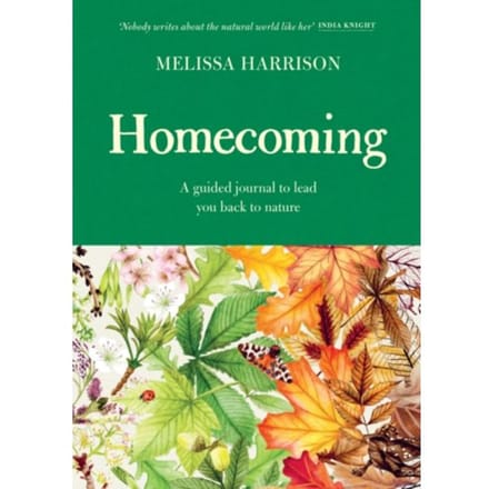 Homecoming - Melissa Harrison