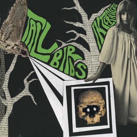 Tall Birds - Internalize (7" Single)