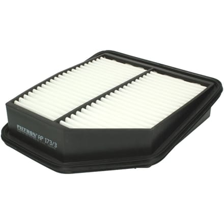Luchtfilter FILTRON AP173/3