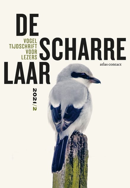 De Scharrelaar / 2021/2 - De Scharrelaar - Diverse auteurs