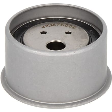 Tandriempoelie SKF VKM 75009