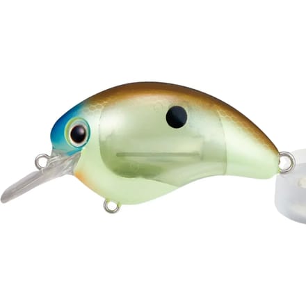 Lok Shimano Bt World Rush 56F Flash Boost 16g