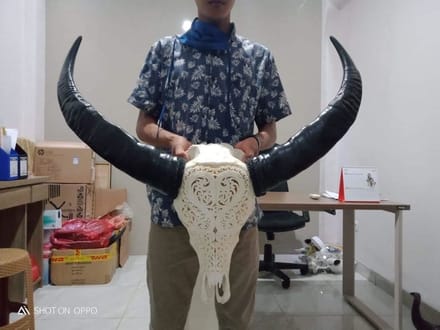 Skull echt