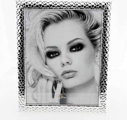 AL - Fotolijst - Zilver - Luipaard - 20 x 25 cm