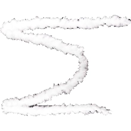 Verenstrip 2m Lengte Wit Prachtige Verentrim voor Knutselprojecten Bruiloftsdecoratie white