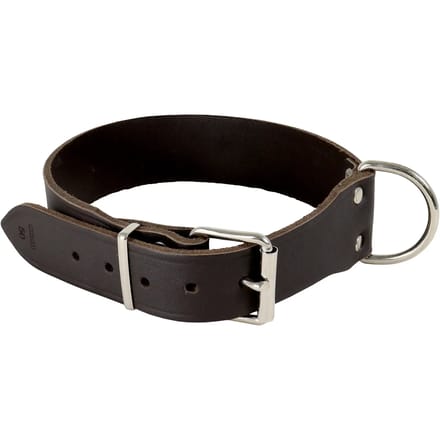 Riveted Hondenhalsband Akah