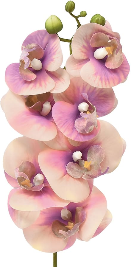 Orchidee Phalaenopsis kunst 7 bloemen paars crème 73cm