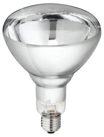 Warmtelamp Philips 250w. wit á 10 stuks.