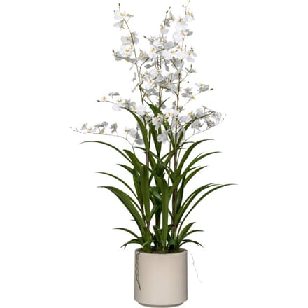 Kopu® Kunstbloem Orchidee Oncidium 98cm in pot - Wit