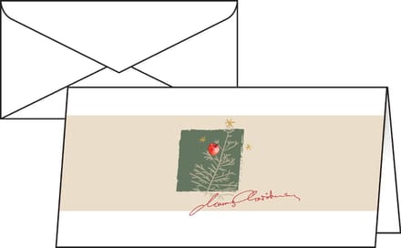 Kerstkaarten Sigel incl. - envelop Kerst met appels - wit