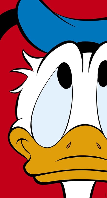 Donald Duck Poster - Donald