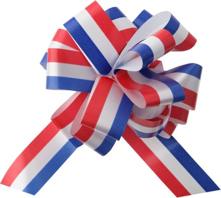 SANTEX - 5 broches Nederlandse vlag