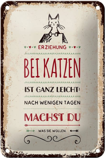 Blechschild Spruch 12x18 cm Erziehung bei Katzen ist ganz leicht Deko Schild