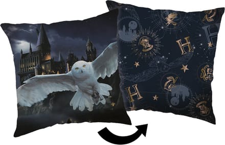 Harry Potter Sierkussen Hogwarts - 40 x 40 cm - Polyester
