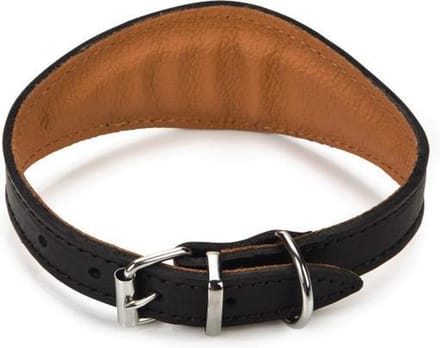 Beeztees Rondo Windhond - Hondenhalsband - 29,5-35,5 cm x 50 mm