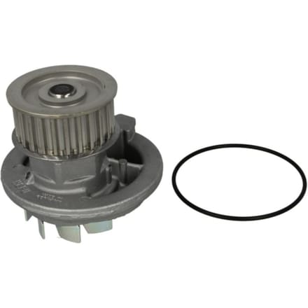 Waterpomp HEPU P316