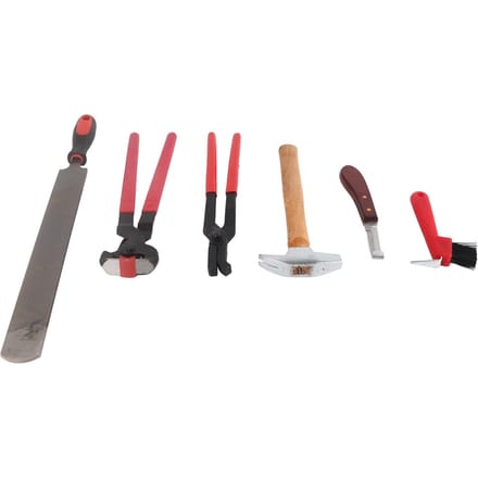 6-delige Set Professionele Hoefsmid Hoef Trim Gereedschap Nagel Hoefijzer Tang Trim Gereedschap gray