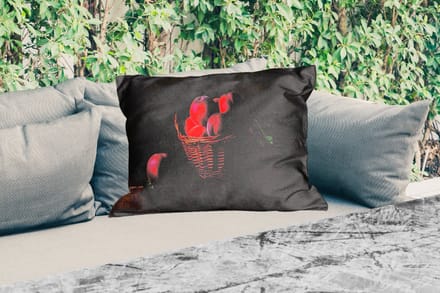 Buitenkussens - Mand - Pruim - Roze - Rustiek - Fruit - Stilleven - 60x40 cm - Weerbestendig
