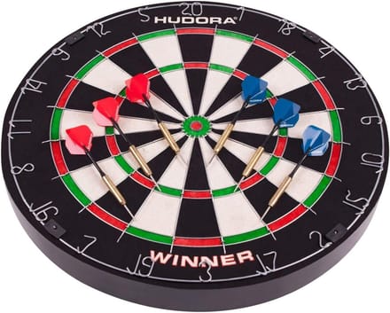 Professioneel Dartbord met 6 Steeldartpijlen voor Thuis en Vereniging